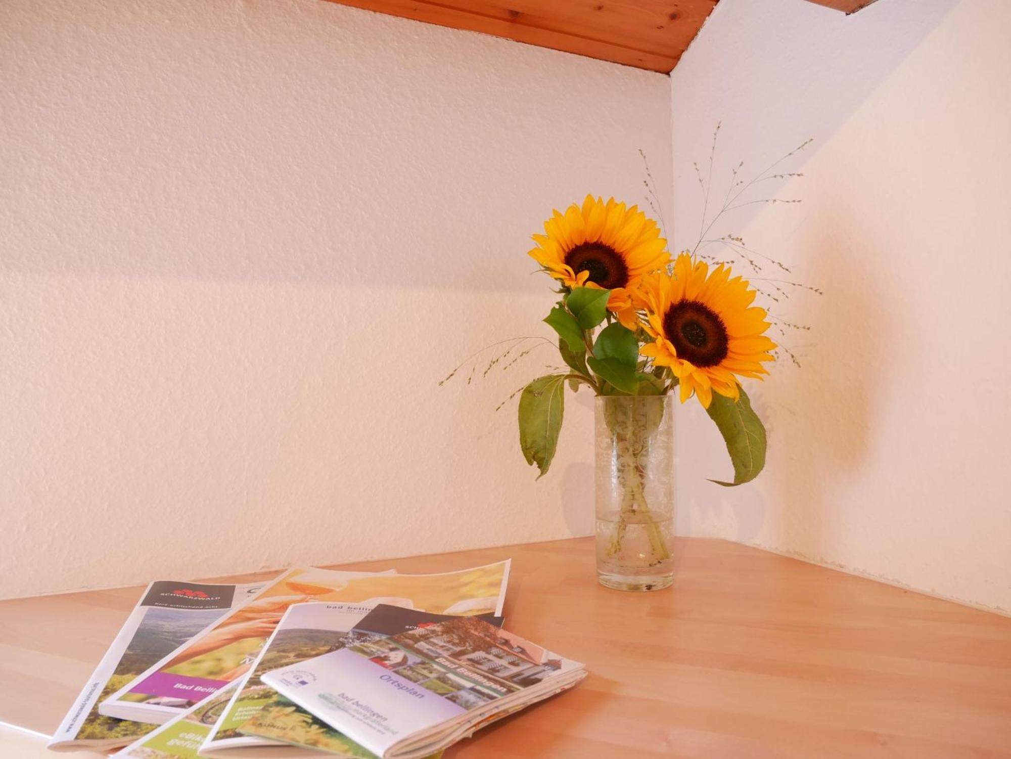 Gaestehaus Gaby Bad Bellingen Bagian luar foto